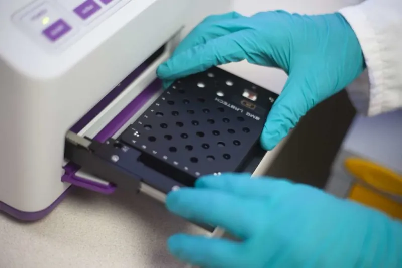 Certified but Not Safe: How Laboratory Testing Exposes Gluten Contamination That Approval Seals Cannot Guarantee